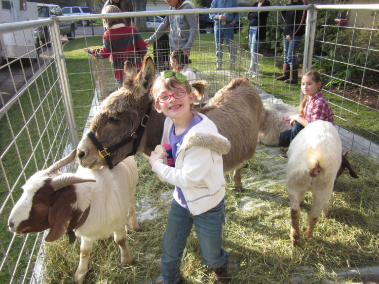 Petting Zoo - Incredible Events